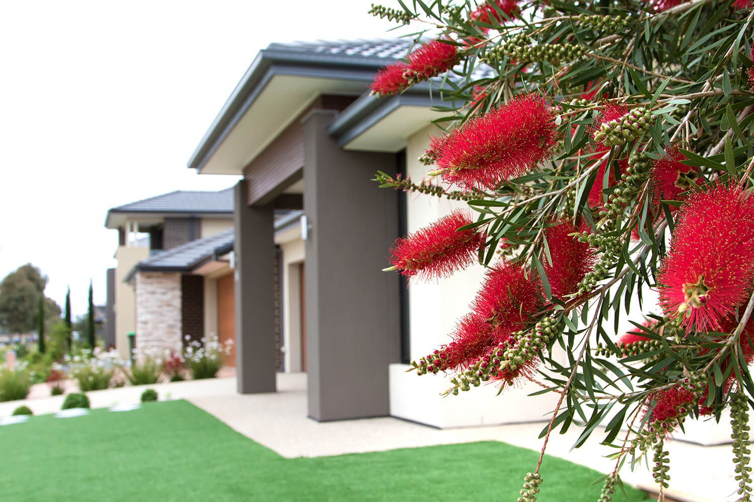 negative gearing your investment property